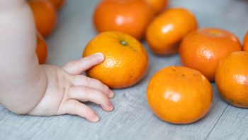 Free and Reduced Lunch: Navigating Food Benefits for Kids